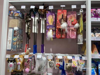 寵物用品公司沖刺A股 貼牌出口占主導(dǎo)，過(guò)半狗繩依賴外協(xié)生產(chǎn)