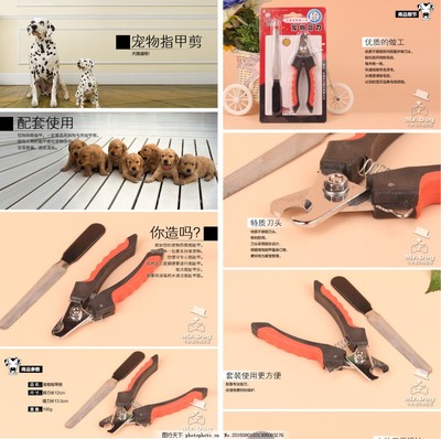 專業(yè)寵物指甲剪 為您的愛(ài)寵提供安全舒適的修剪體驗(yàn)