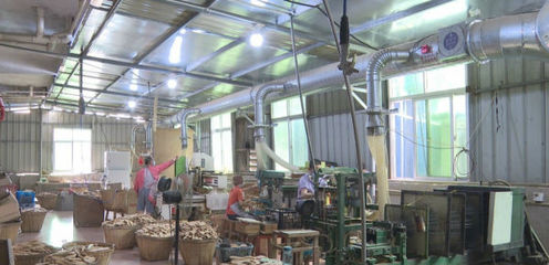 泉港 上門服務精準賦能，助力寵物用品外貿企業穩健增長